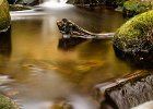 Burbage Brook by Ben Hull COMMENDED